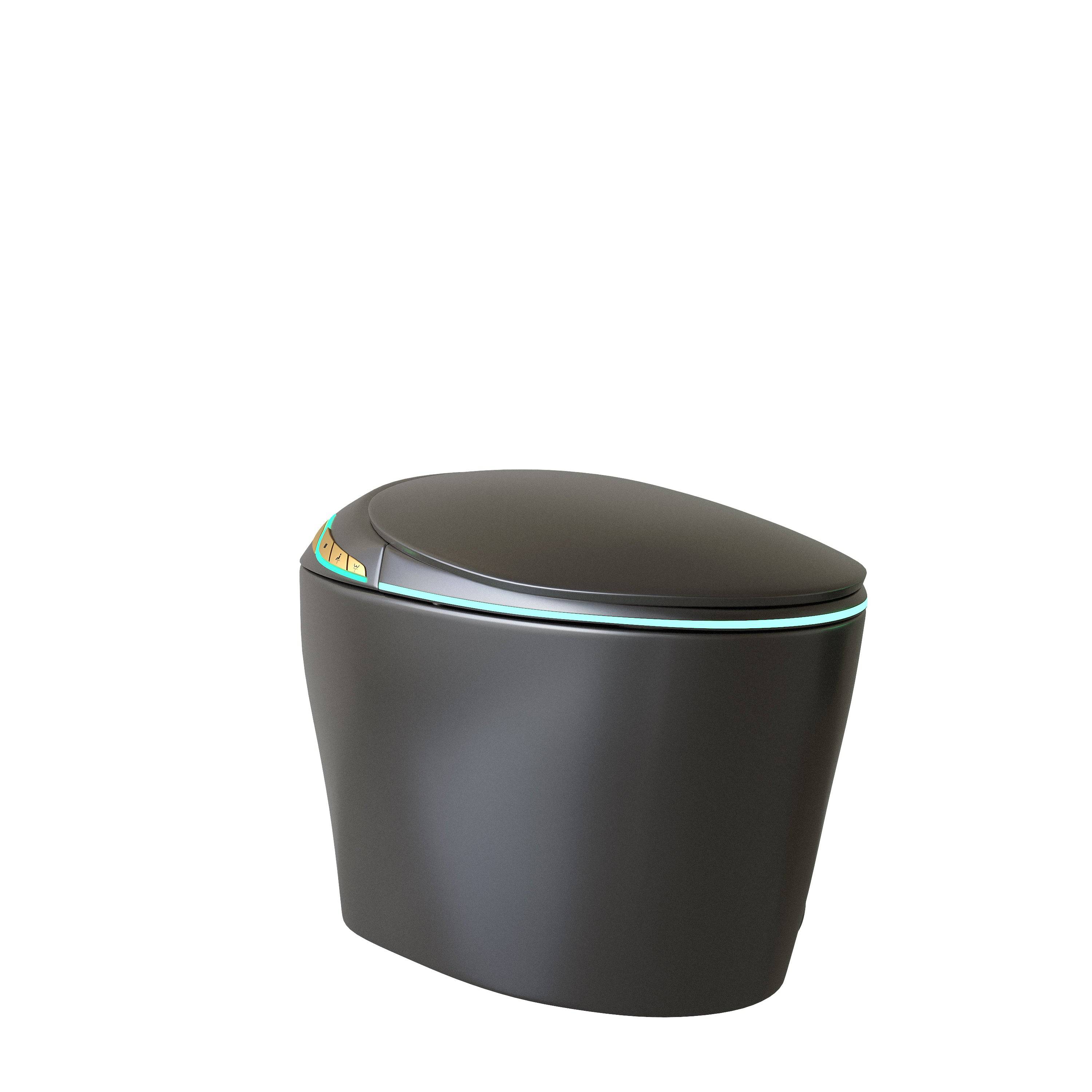 Unique Smart Toile with Built-in Bidet, Auto Open/Close Seat, Foot Sensor, LED Display, Night Light, Warm Water & Dryer, Grey Ceramic