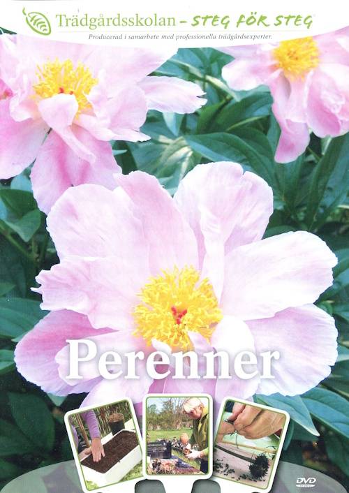 DVD - Trädgårdsskolan 1 : Perenner (Beg)