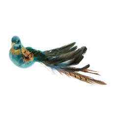 Large Turquoise Bird