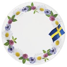 Engångsartiklar - Sommarfest, Papptallrikar (8-pack)