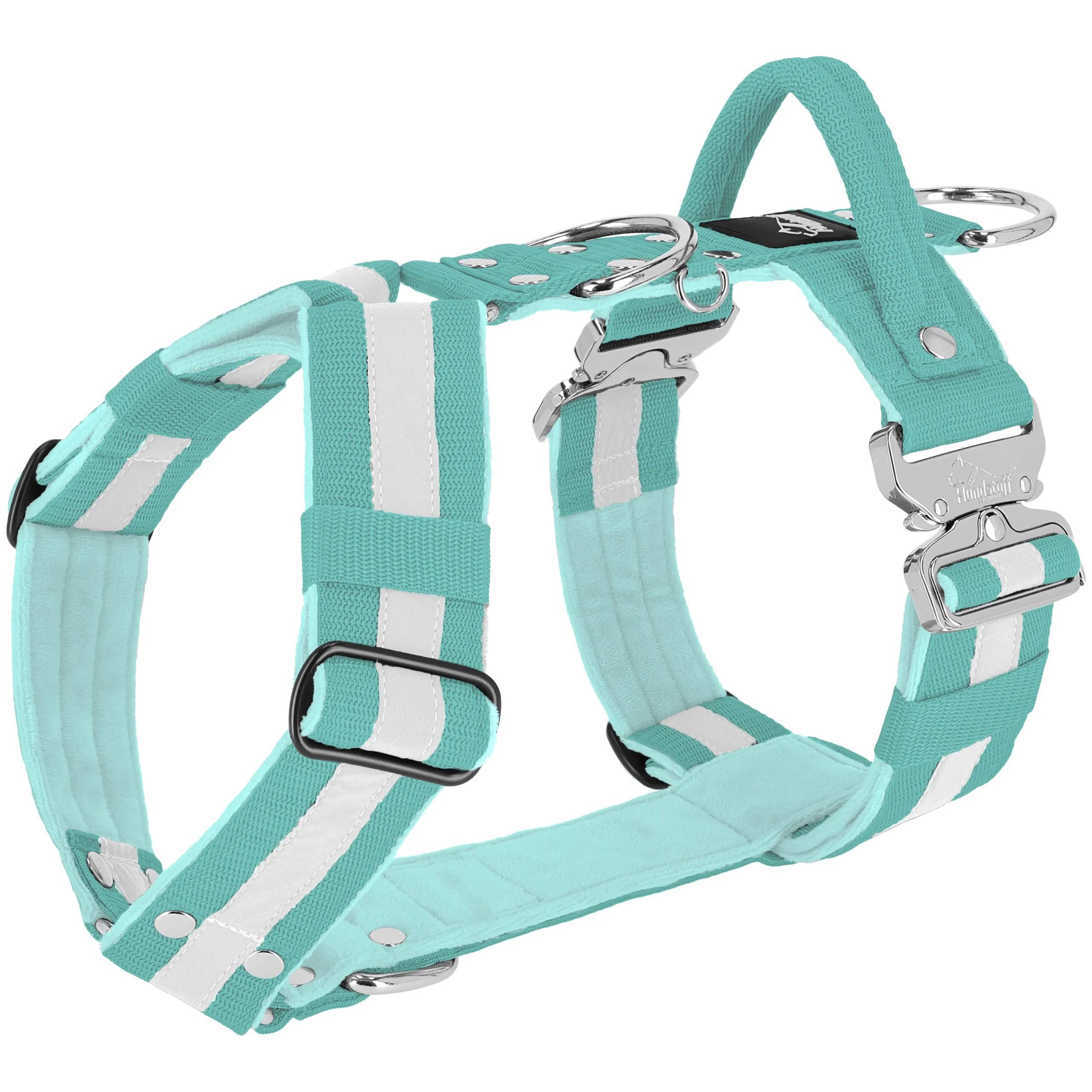 Easy Walk Extreme Safe Mint - Sele med reflex & snabbspänne - Default Title