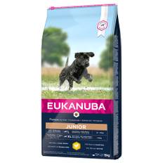 Økonomipakker: Eukanuba Size tørfoder - Junior Large Breed Kylling (2 x 15 kg)