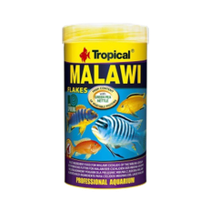 Tropical Malawi