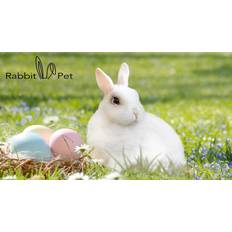 Beaphar Nature Rabbit Junior