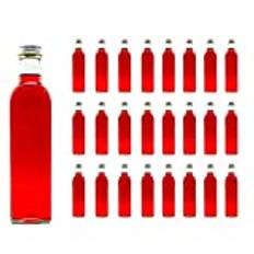Casavetro Klart Skruv Top Tomma glasflaskor 250 ml - Återanvändbara Påfyllningsbara Twist Av Lock - lufttät Metall Lock för Kombucha Ölbryggning Gin Olja Vinäger Öl Vin Cider, Vodka Soda och Vatten (24 x 250 ml)