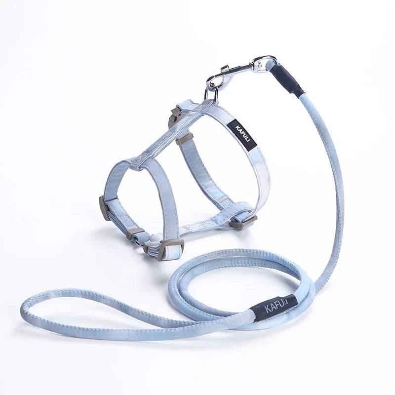 Adjustable Harness & Leash Set for Small Dogs & Cats - Blue / S (S)