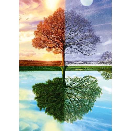 500 bitar - The seasons tree