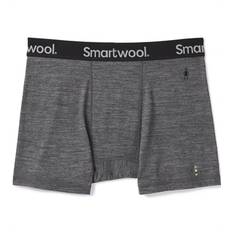 Smartwool Men's Everyday Merino Sport Boxer Brief - Medium Gray Heather - Boxershorts