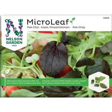 Nelson Garden Micro Leaf pak choi 'Red Wizard' Mikrogrønt