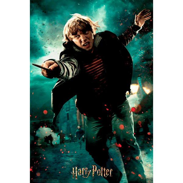Pussel Harry Potter Ron Weasley Prime 3D 300pcs