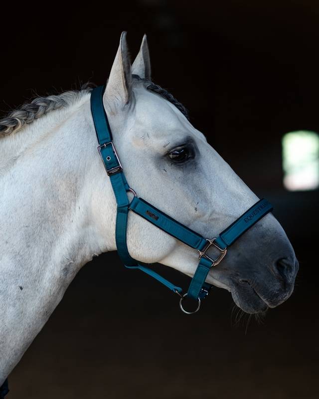 Equestrian Stockholm Grimset Aurora Blues