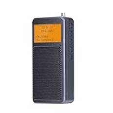 Swokely HRD-205 bärbar FM-radio multifunktionell radio konvertera signal till BT-hörlurar automatisk skanningsstation larm med automatisk avstängning timer bakgrundsbelyst display med hörlursuttag