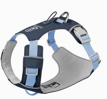 Lightweight No-Pull Reflective Dog & Cat Harness Vest - Blue / XS (XS)