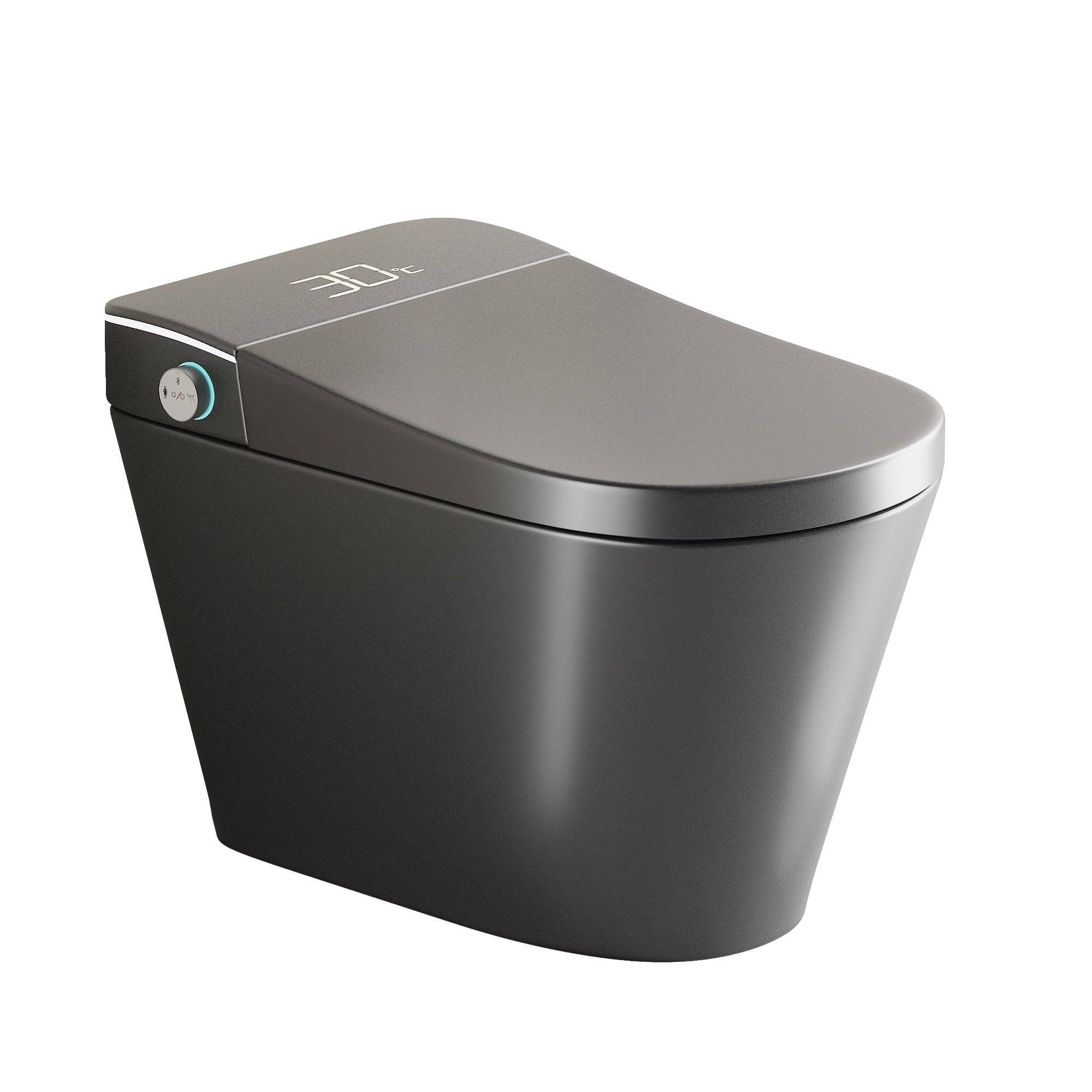 Unique Smart Toile with Built-in Bidet, Intelligent Auto Open/Close Seat, Warm Water & Dryer, Grey Ceramic, One Piece