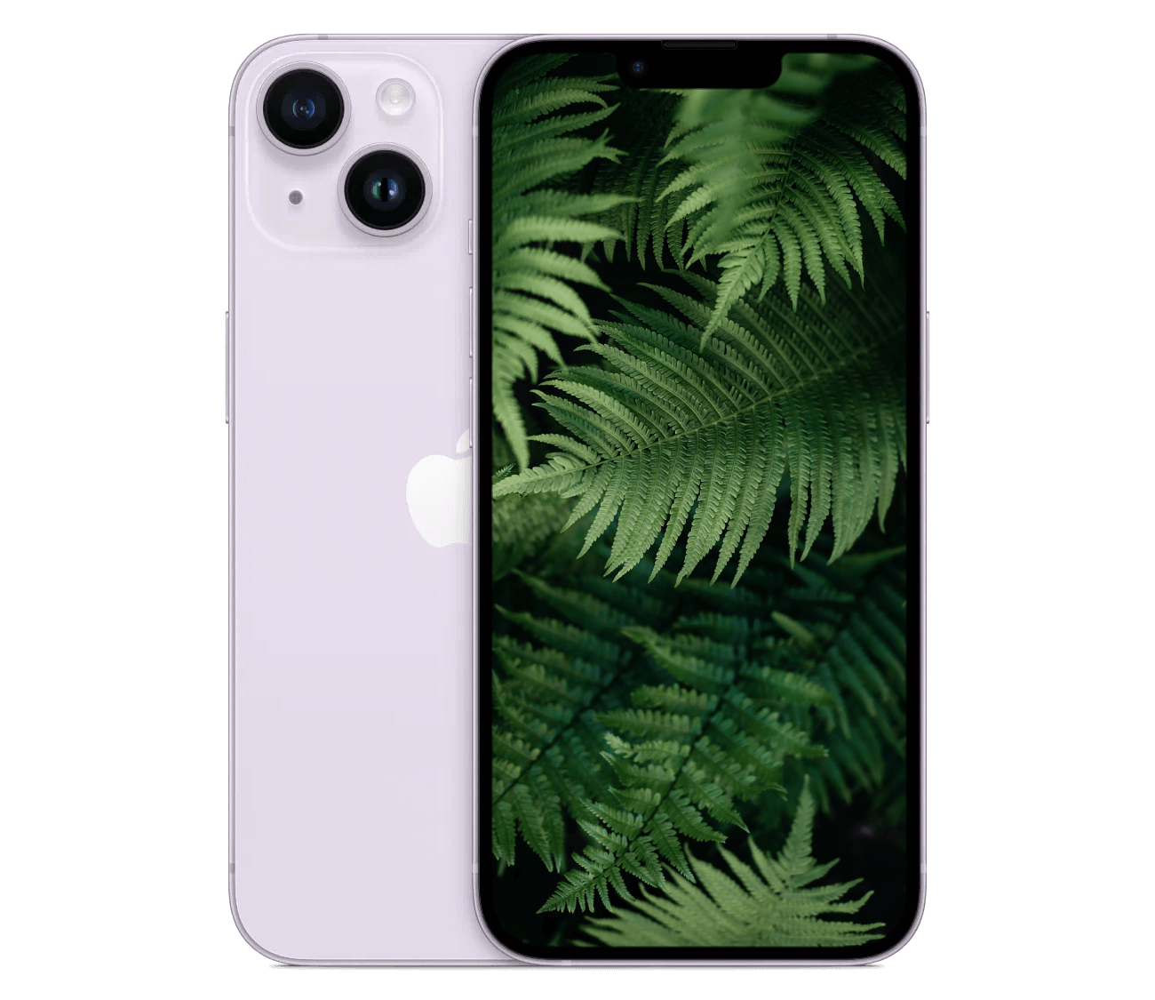 iPhone 14