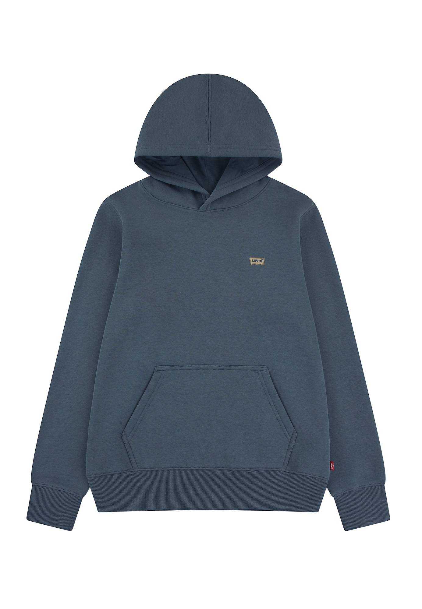 Levi's Kids Sweatshirt  cyanblå