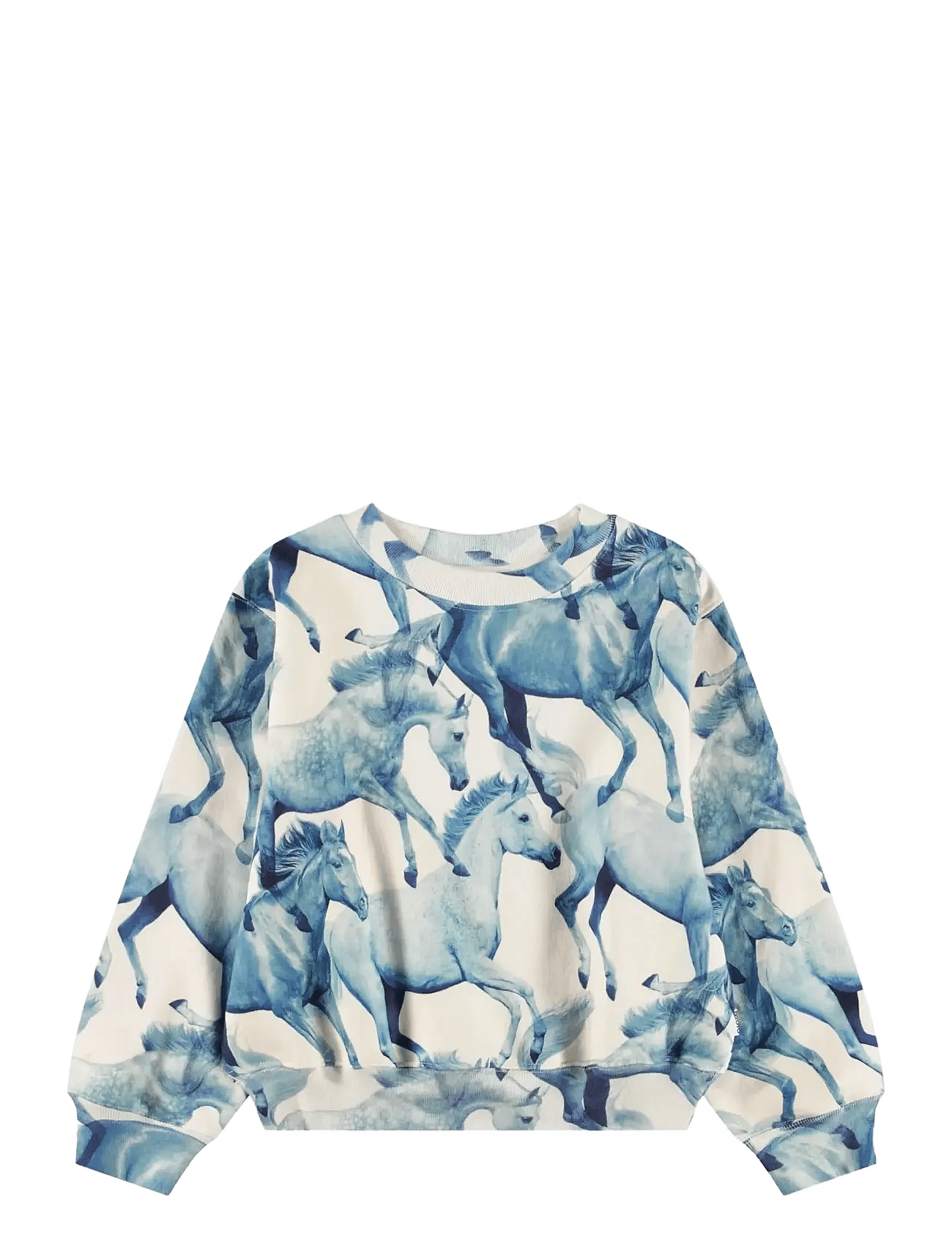 MOLO Marge | Blue | 104