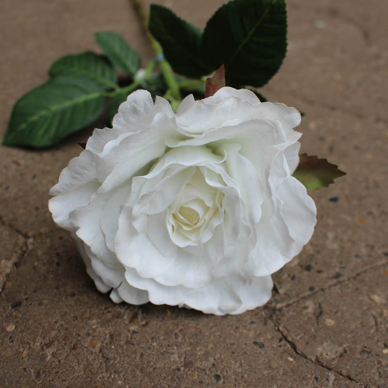 Rose på stilk Kunstig - Hvid - 70 cm