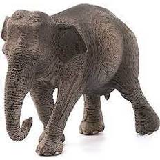 Schleich – Elefant hun Asiatisk