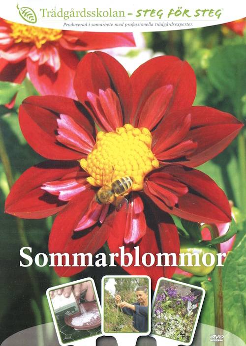 DVD - Trädgårdsskolan 7 : Sommarblommor (Beg)