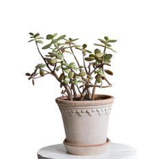 Bergs Potter - Københavner RAW Rosa - Flere størrelser - Ø21 cm