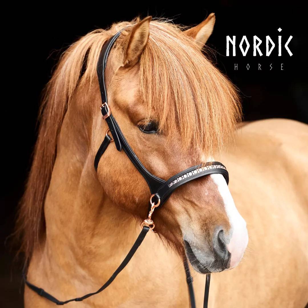 Nordic Horse Sidepull – All Rosegold