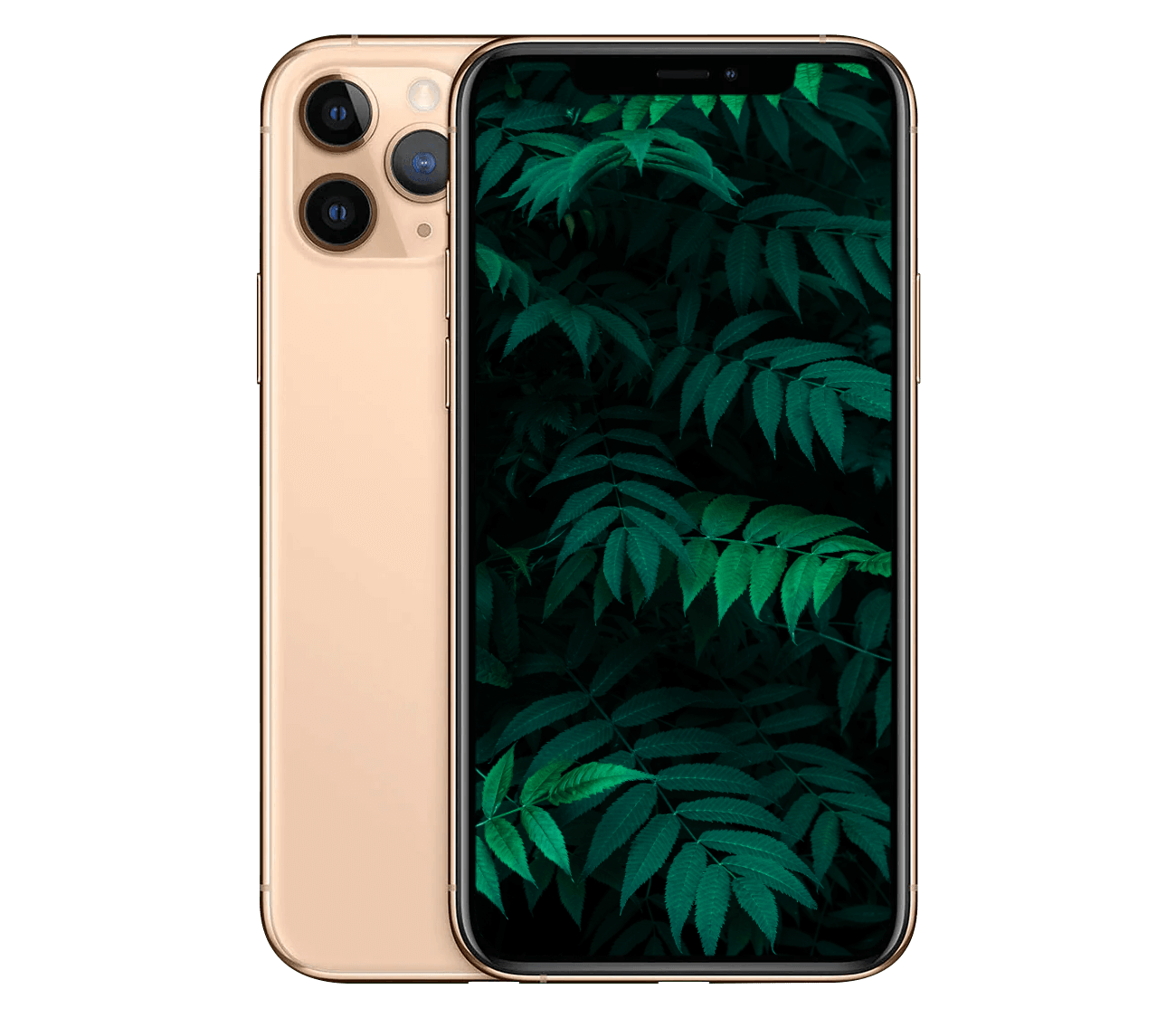 iPhone 11 Pro