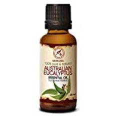 Eucalyptus Oil 30ml - Eterisk Australisk Olja - Eucalyptus Radiata - Australien - Ren Och Naturlig Eukalyptusolja - Bäst för Bastu - Andas In - Aroma Diffuser - Doftlampa - Avkoppling