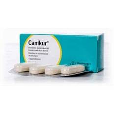 Canikur 4 x 12 tabletter x 4 g.
