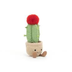 Amuseable moon cactus