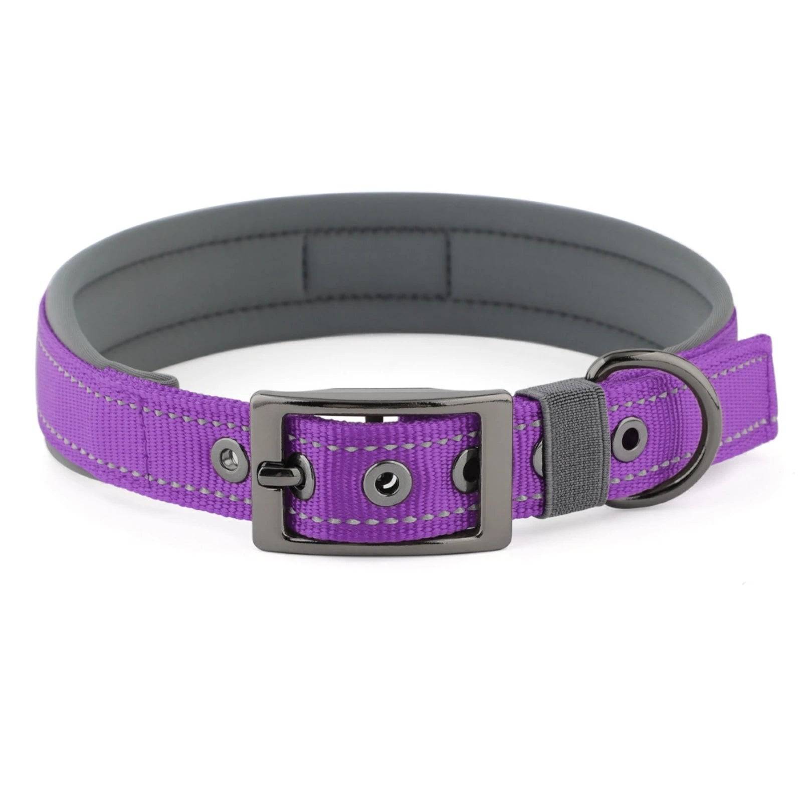 Neoprene Padded Reflective Dog Collar with Metal Buckle - Purple / S / SP