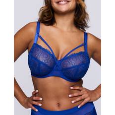 Sophora BH • blue print – Prima Donna