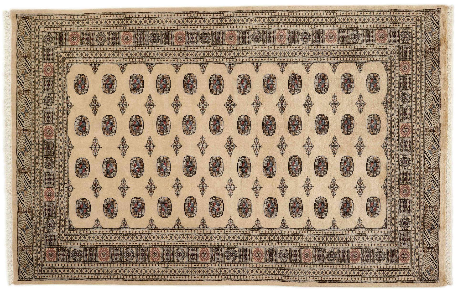 Pakistan 3 Ply