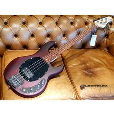 Music Man Sterling Sub STINGRAY bas