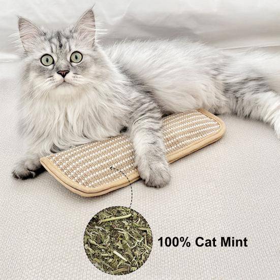 Klösmatta för katt Kattleksak Sisal Klösbräda Kudde Fylld med Kattmynta Säker Nagelfil för Innekatter Kattunge Träning Underhållning Hälsa beige