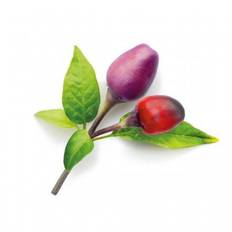 Click and Grow Smart Garden 9-pack refill - Purple Chili Pepper för inomhusodling, rik på vitaminer och antioxidanter
