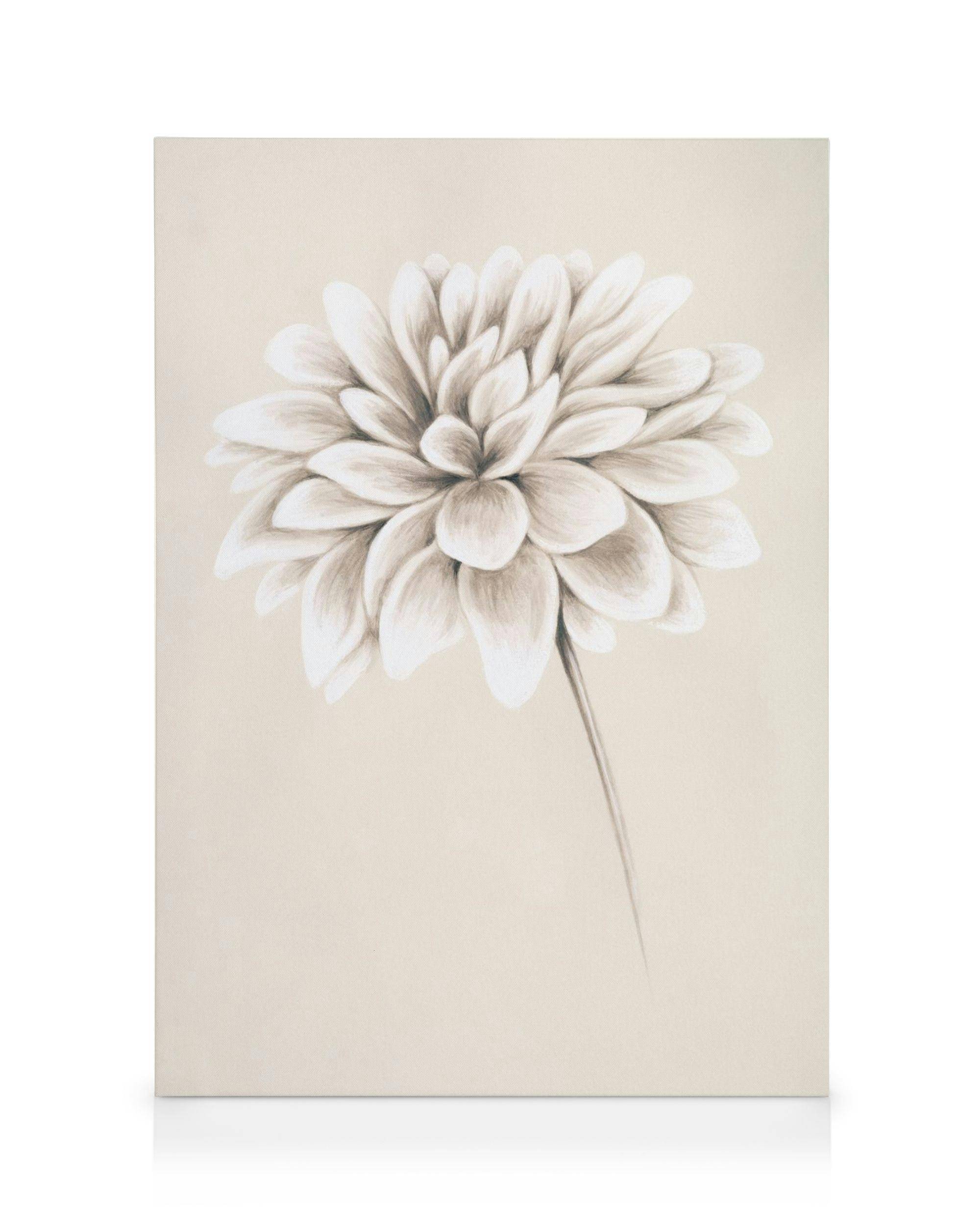 Canvastavlor Painted Dahlia Canvastavla (30x40 cm - Ekram)
