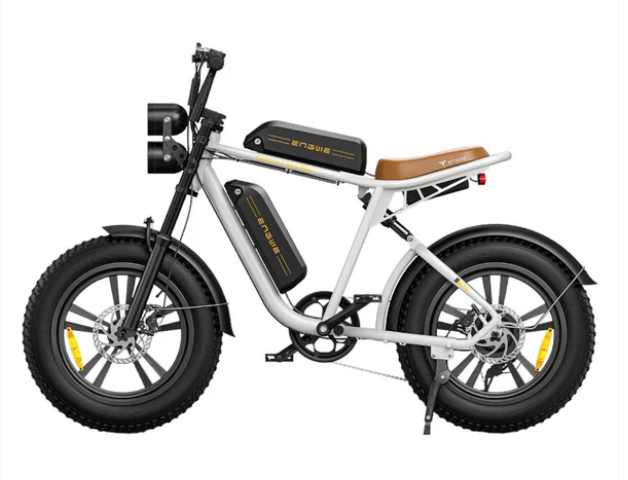 ENGWE M20 dobbelt batteri.