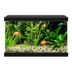 Akvarium Ciano 20 svart, 17 liter