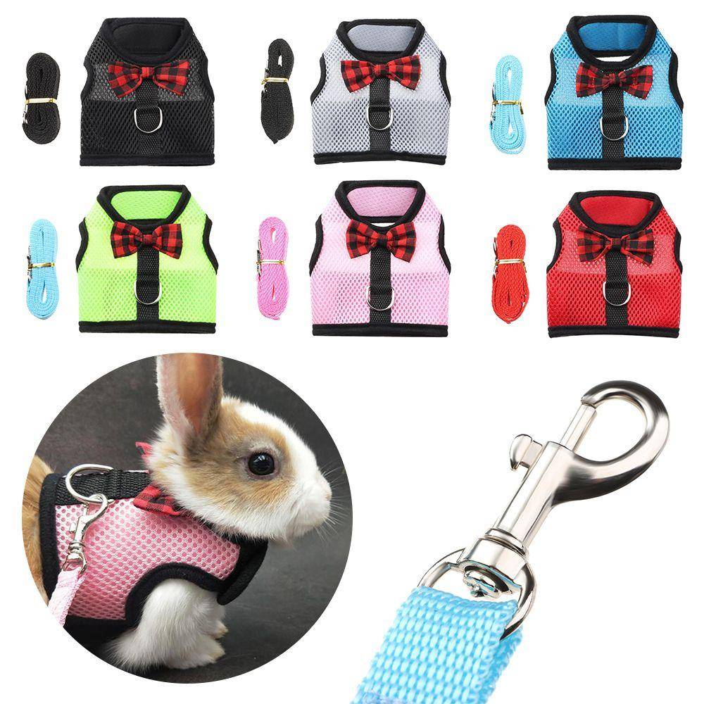 Marsvin Smådjur Husdjur Kopplingslina Kanin Nätbröst Kanin Kopplingslina Halsband Hamster Västhärva