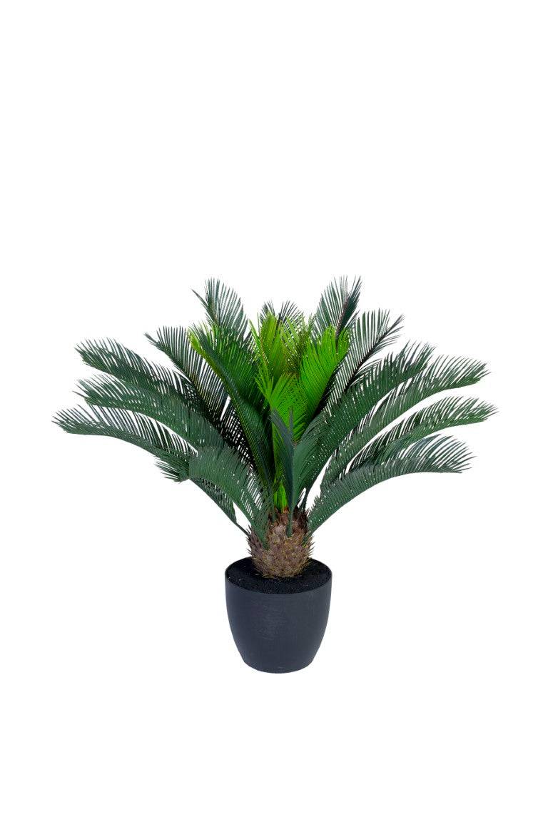 Konstväxt Cycas Palm inkl. Kruka