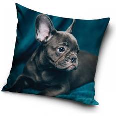 Fransk Bulldog – Kuddfodral 40x40cm – Blå