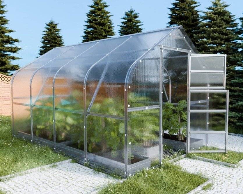 Växthus Droppe 10 - 30 m² 25 m² 6 mm polykarbonat
