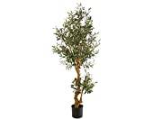 Konstpflanzen-discount.com konstgjord olivträd, med ca 3432 textilblad, 96 oliver, 150 cm höga - olivkonstträd, dekorativt träd med frukter