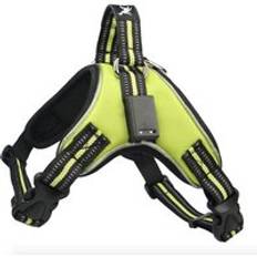 Uppladdningsbar led sele för husdjur hund tailup nylon led blinkande ljus hund sele halsband husdjur säkerhetskoppel bälte hund tillbehör