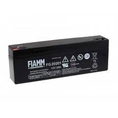 FIAMM BlyBatteri FG20201
