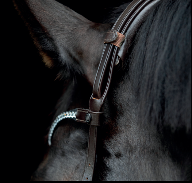 Catago Gentle Bridle Nakkestykke - FULL - SORT