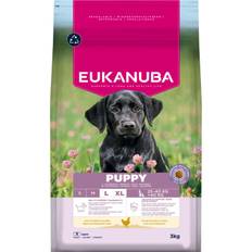 EUKANUBA Puppy Large Breed kylling 3 kg / 12 kg - 3 kg
