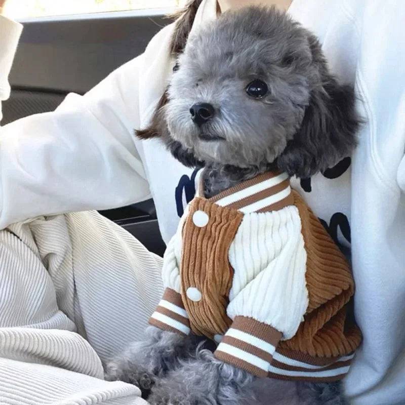 Warm Dog Sweater Vest - Striped Autumn Winter Clothing for Small Dogs - Brown / M (M)