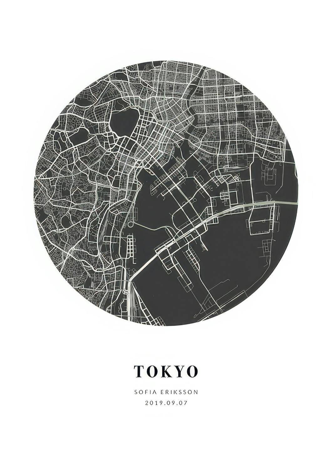 Personliga tavlor Globe Map Night Personal Poster (30x40 cm)